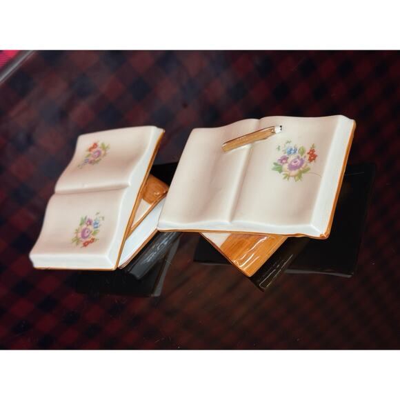 Pair Antique Porcelain Books Bernasconi AF South Post-Bidg. L Naples Italy - Picture 2 of 8